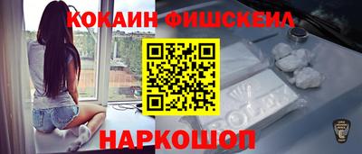 СК Кингисепп