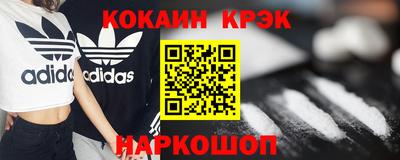 СК Кингисепп