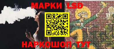 стаф Кинель