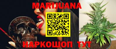 стаф Кинель