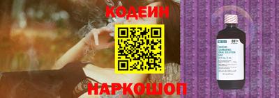 СК Кингисепп