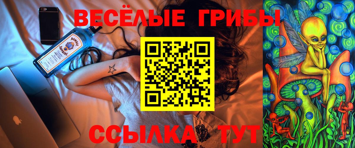 Псилоцибиновые грибы Cubensis Крымск