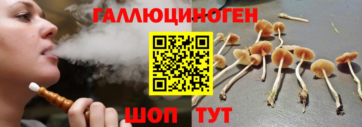 Крымск  Псилоцибиновые грибы мухоморы  Вход с VPN 